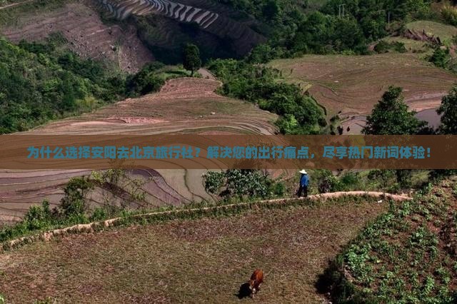 安阳去北京旅行社