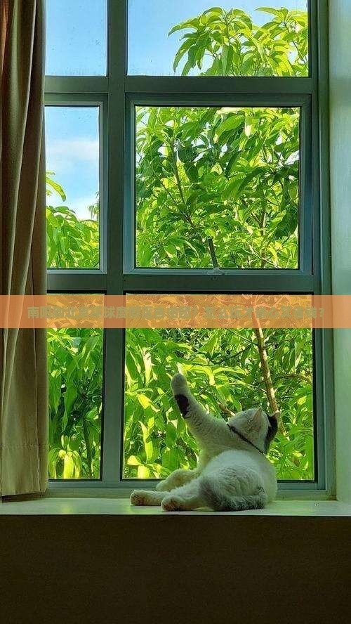 南阳到北京环球度假区自由团