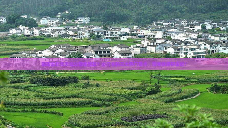 朝阳去北京天坛公园哪里玩