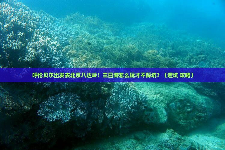 呼伦贝尔去北京八达岭长城三日游