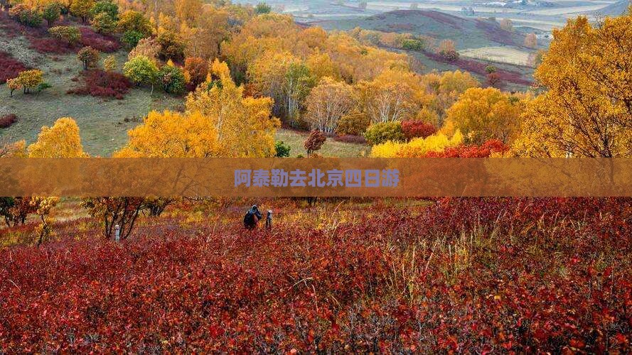 阿泰勒去北京四日游