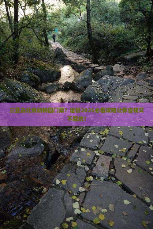 三亚去北京动物园门票