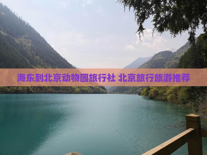 海东到北京动物园旅行社