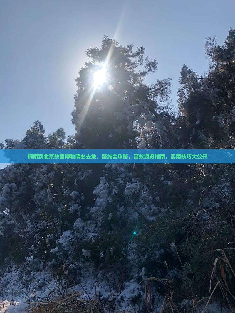 铜陵到北京故宫博物院必去地