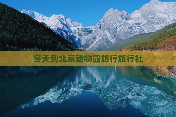 冬天到北京动物园旅行社