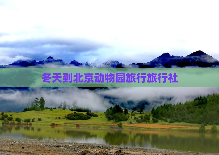 冬天到北京动物园旅行社