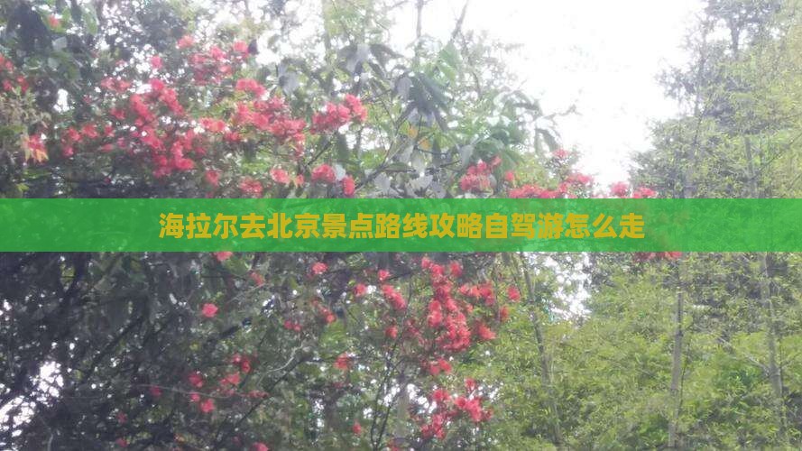 海拉尔去北京景点