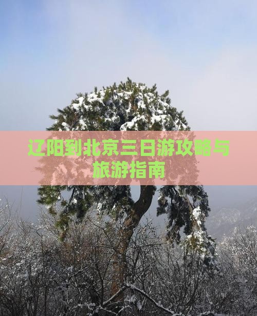 辽阳到北京三日游