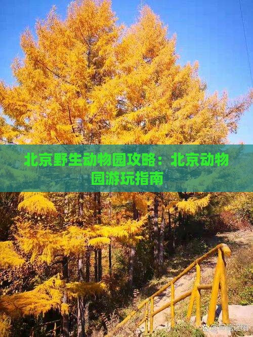 邯郸到北京动物园攻略