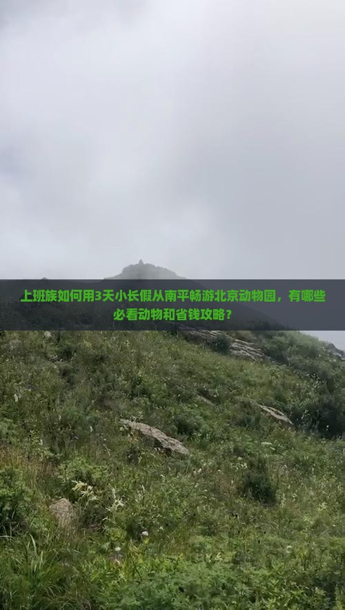 上班族如何用3天小长假从南平畅游北京动物园，有哪些必看动物和省钱攻略？