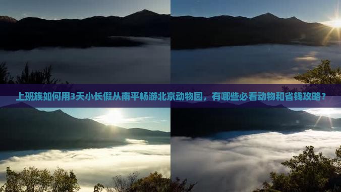 上班族如何用3天小长假从南平畅游北京动物园，有哪些必看动物和省钱攻略？