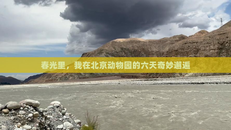 春光里，我在北京动物园的六天奇妙邂逅
