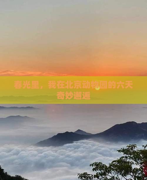 春光里，我在北京动物园的六天奇妙邂逅