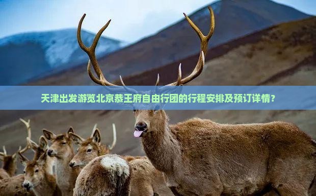 天津出发游览北京恭王府自由行团的行程安排及预订详情？