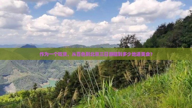 作为一个吃货，从百色到北京三日游脑到多少地道美食？