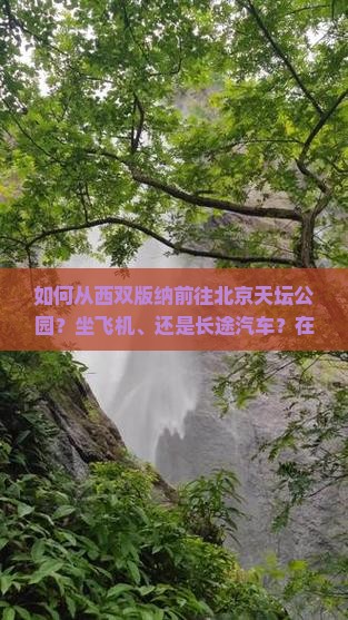如何从西双版纳前往北京天坛公园？坐飞机、还是长途汽车？在天坛公园有哪些必看的景点和活动？