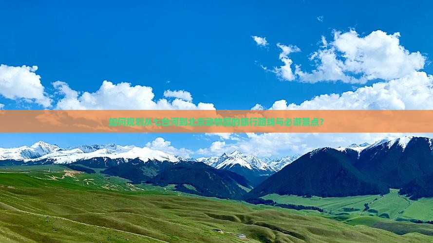如何规划从七台河到北京动物园的旅行路线与必游景点？
