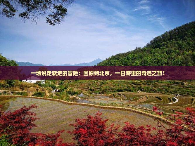 一场说走就走的冒险：固原到北京，一日游里的奇迹之旅！