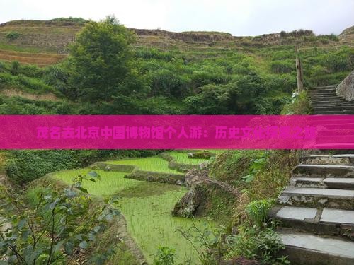 茂名去北京中国博物馆个人游：历史文化探索之旅