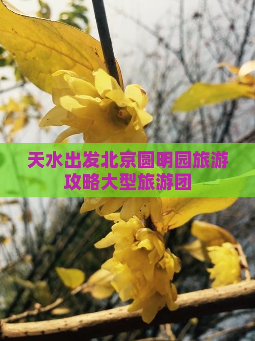 天水出发北京圆明园旅游攻略大型旅游团