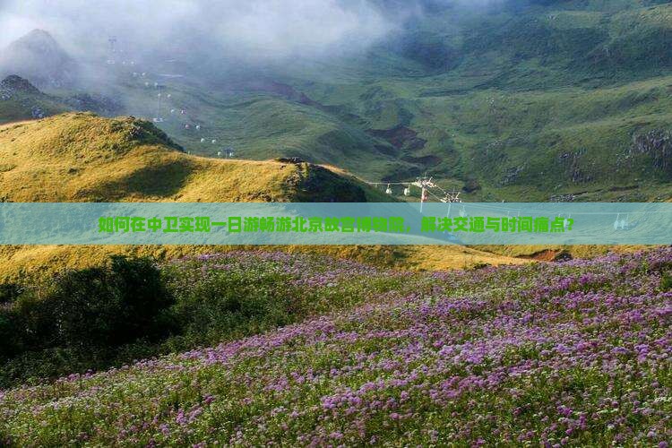 如何在中卫实现一日游畅游北京故宫博物院，解决交通与时间痛点？