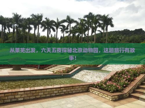 从莱芜出发，六天五夜探秘北京动物园，这趟旅行有故事！