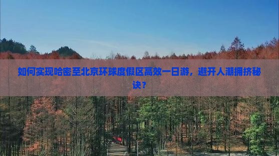 如何实现哈密至北京环球度假区高效一日游，避开人潮拥挤秘诀？