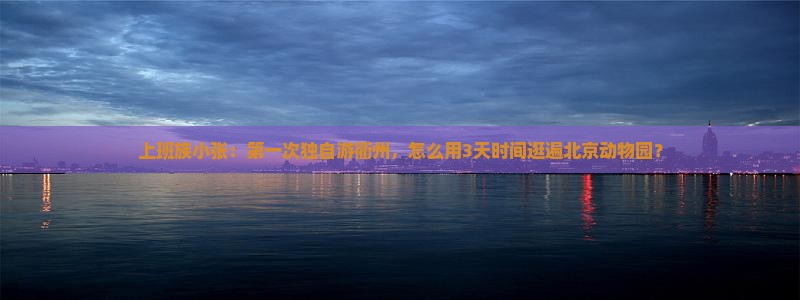 上班族小张：第一次独自游衢州，怎么用3天时间逛遍北京动物园？