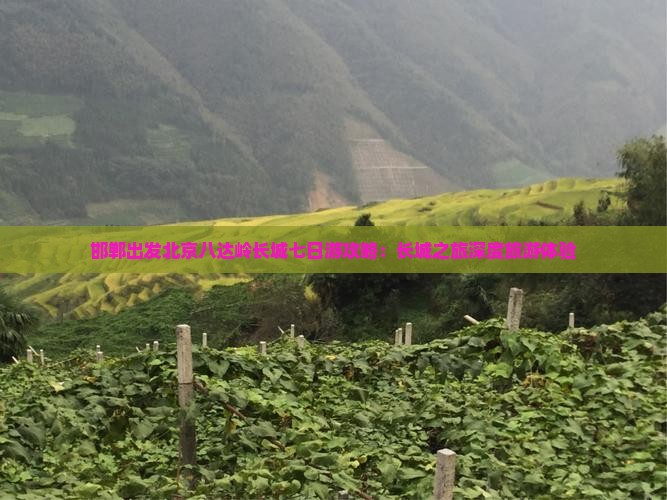 邯郸出发北京八达岭长城七日游攻略：长城之旅深度旅游体验