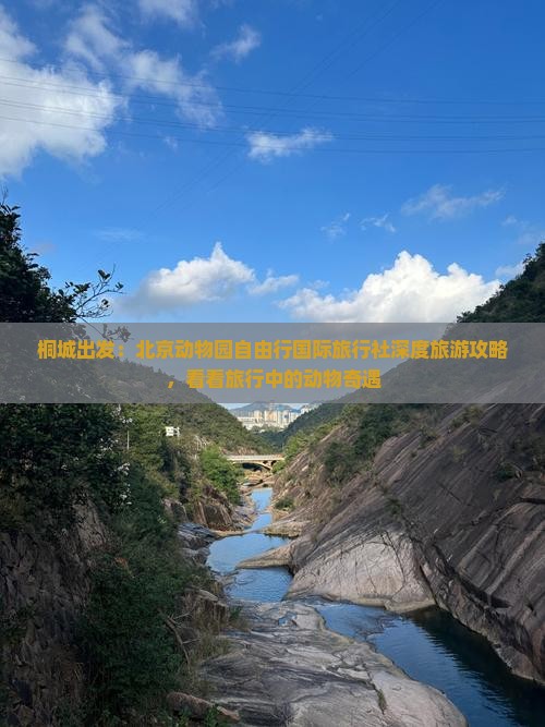 桐城出发：北京动物园自由行国际旅行社深度旅游攻略，看看旅行中的动物奇遇