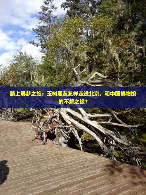 踏上寻梦之旅：玉树朋友怎样走进北京，和中国博物馆的不解之缘？