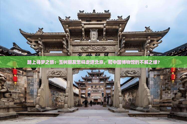 踏上寻梦之旅：玉树朋友怎样走进北京，和中国博物馆的不解之缘？
