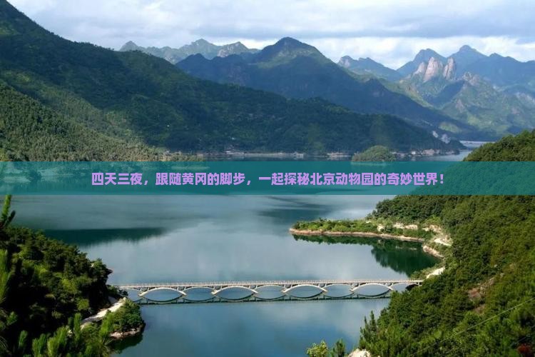 四天三夜，跟随黄冈的脚步，一起探秘北京动物园的奇妙世界！