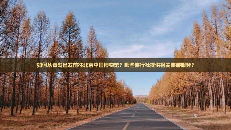 如何从青岛出发前往北京中国博物馆？哪些旅行社提供相关旅游服务？