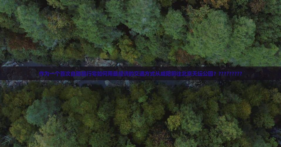 作为一个首次自助旅行宅如何用最经济的交通方式从咸阳前往北京天坛公园？?????????
