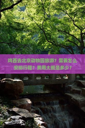 鸡西去北京动物园旅游？需要怎么安排行程？费用大概是多少？