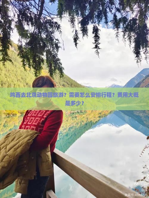 鸡西去北京动物园旅游？需要怎么安排行程？费用大概是多少？