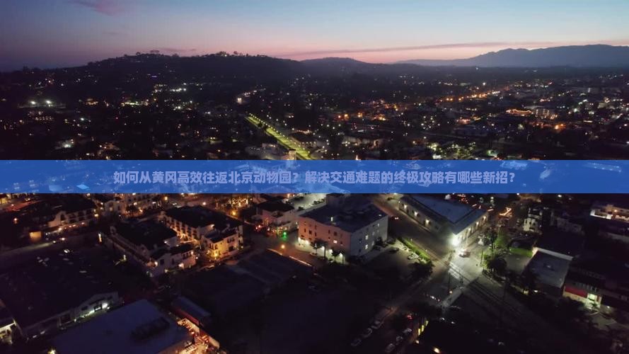 如何从黄冈高效往返北京动物园？解决交通难题的终极攻略有哪些新招？