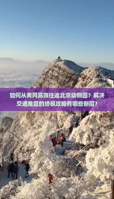 如何从黄冈高效往返北京动物园？解决交通难题的终极攻略有哪些新招？