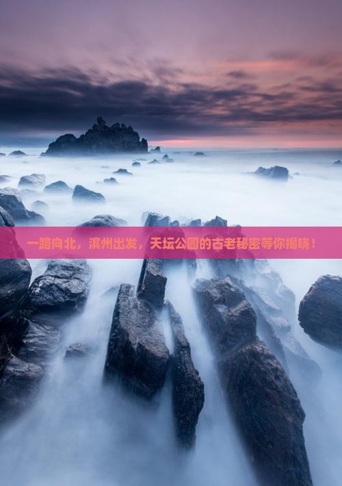 一路向北，滨州出发，天坛公园的古老秘密等你揭晓！