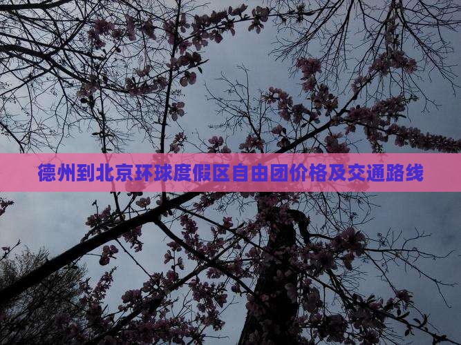 德州到北京环球度假区自由团价格及交通路线