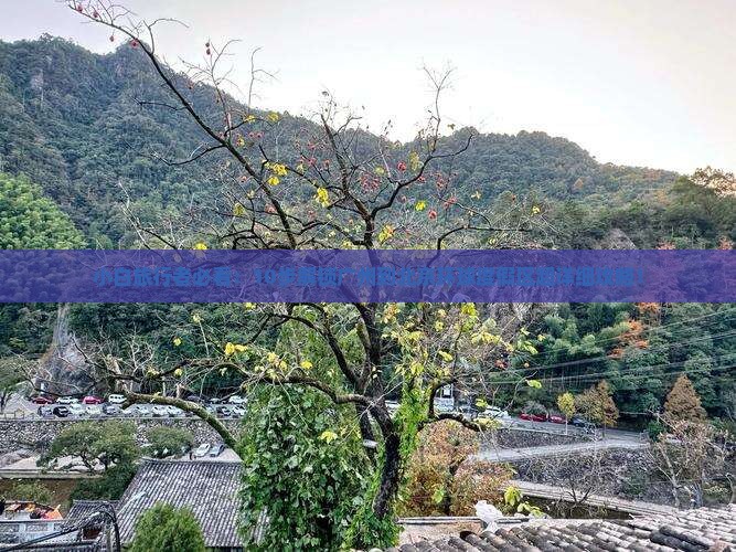 小白旅行者必看：10步解锁广州到北京环球度假区超详细攻略！