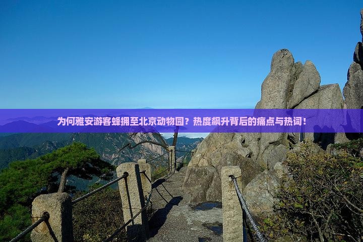 为何雅安游客蜂拥至北京动物园？热度飙升背后的痛点与热词！