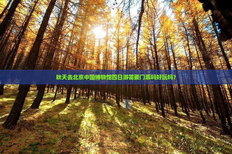 秋天去北京中国博物馆四日游需要门票吗好玩吗？