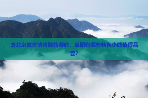 去北京故宫博物院旅游时，阜阳有哪些特色小吃值得品尝？