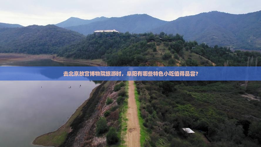 去北京故宫博物院旅游时，阜阳有哪些特色小吃值得品尝？