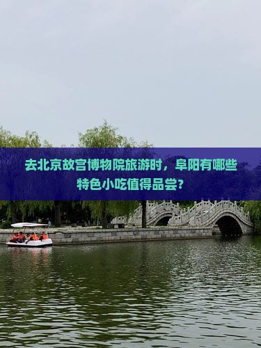 去北京故宫博物院旅游时，阜阳有哪些特色小吃值得品尝？