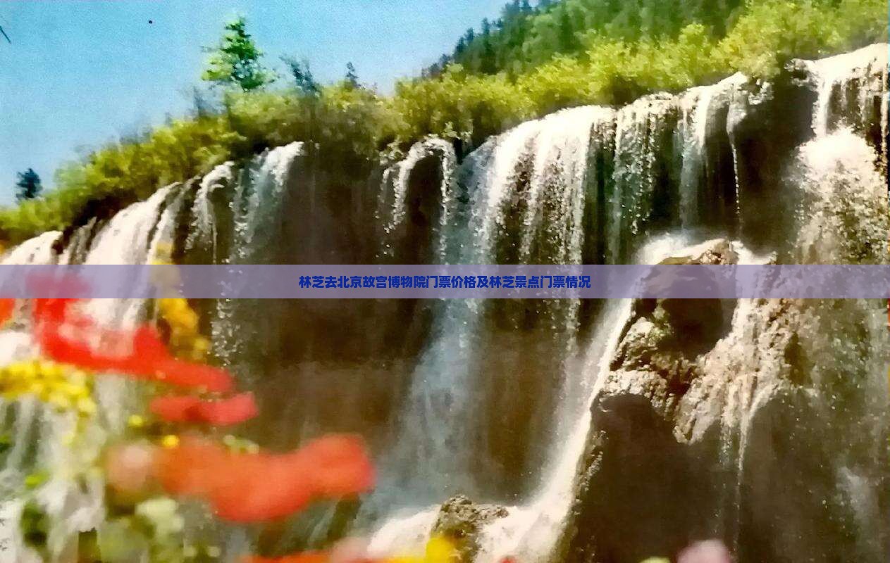 林芝去北京故宫博物院门票价格及林芝景点门票情况