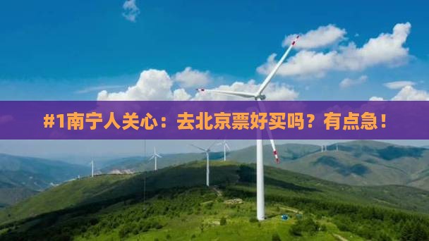 #1南宁人关心：去北京票好买吗？有点急！