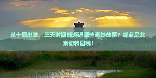 从十堰出发，三天时间能邂逅哪些奇妙故事？终点是北京动物园哦！
